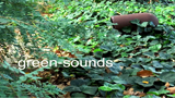GreenSounds2